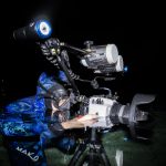 What lies beneath: filming gators in Florida springs