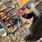 BougeRV water heater review: hot showers to go