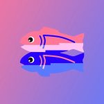Glitch is basically shutting down
